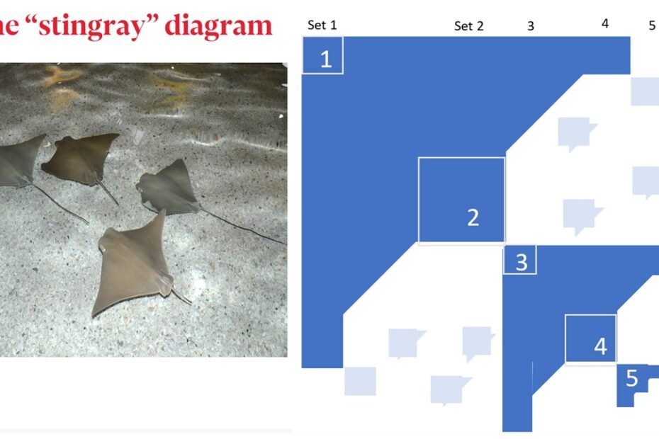 Stingray diagram breaking down resonance and dissonance in wicked problems